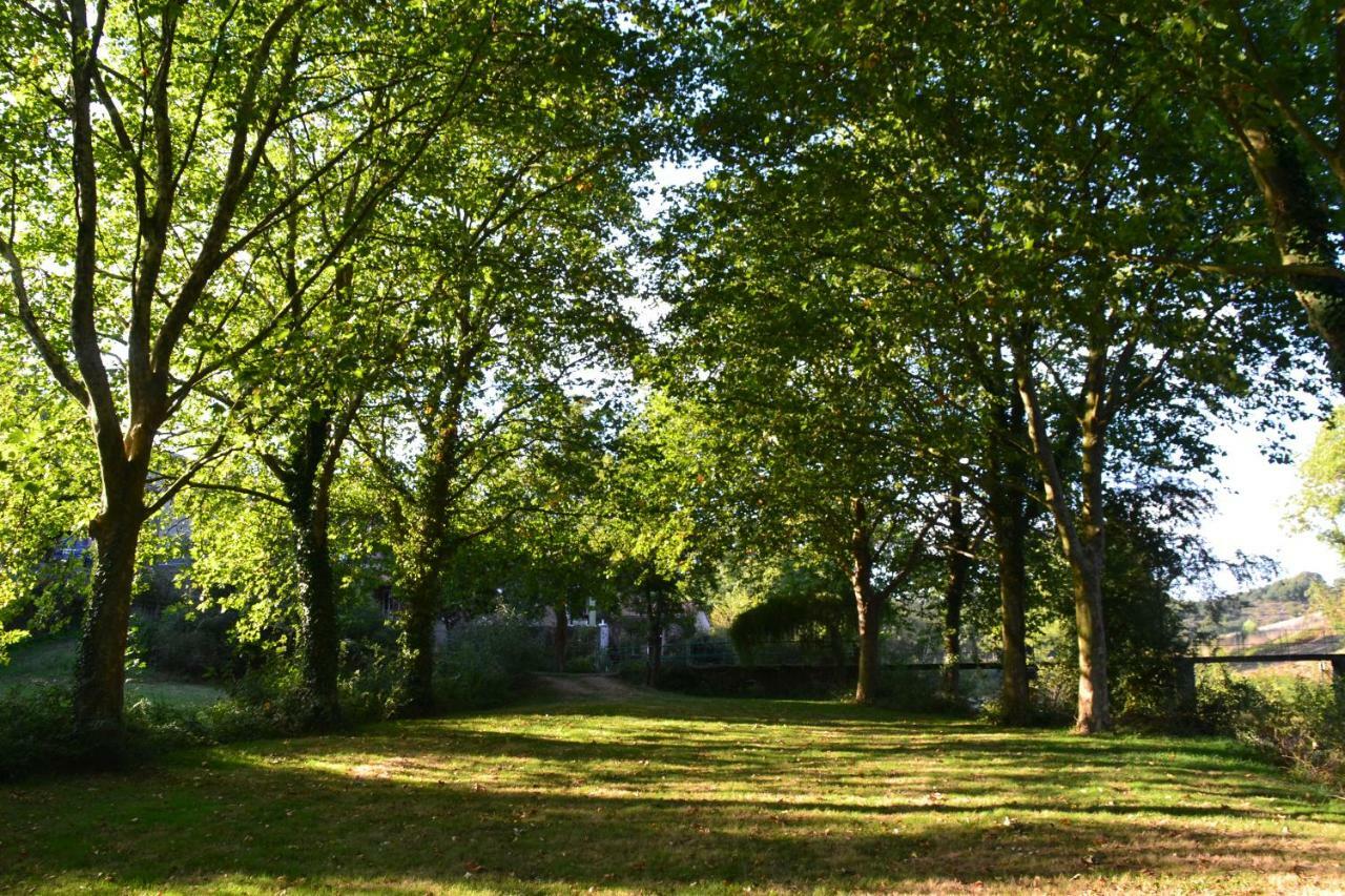Le Moulin Neuf Villa Beaupreau-en-Mauges Luaran gambar